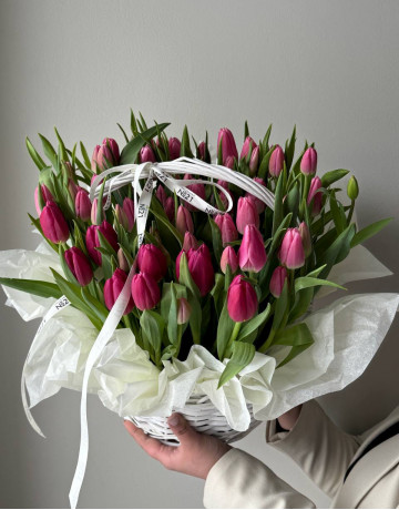 Корзина из 61 тюльпана #3813