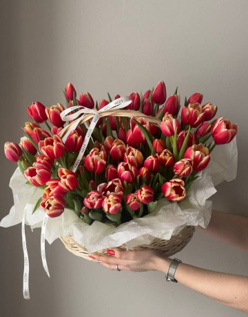 Корзина из 65 красных тюльпанов #3814