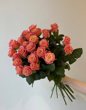 Букет из 25 коралловых роз #3873