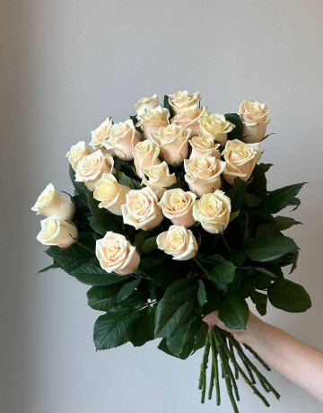 Букет из 25 кремовых роз #3871
