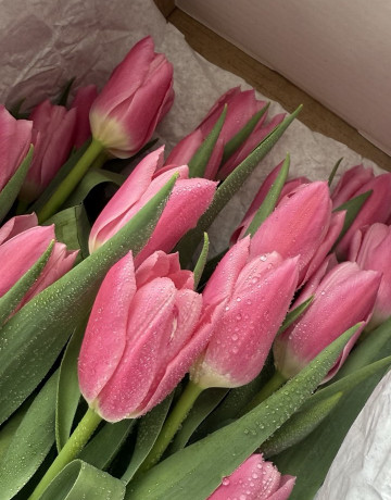 Охапка из 25 тюльпанов #3139