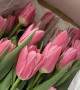 Охапка из 25 тюльпанов #3139