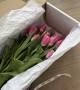 Охапка из 25 тюльпанов #3139