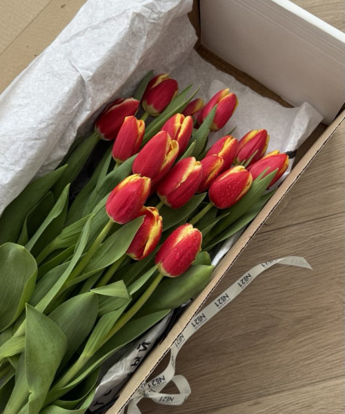 Охапка из 35 тюльпанов #3143 - Цветочный21