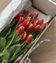 Охапка из 25 тюльпанов #3142