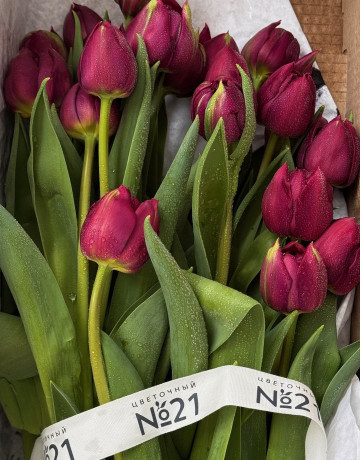 Охапка из 35 тюльпанов #3134