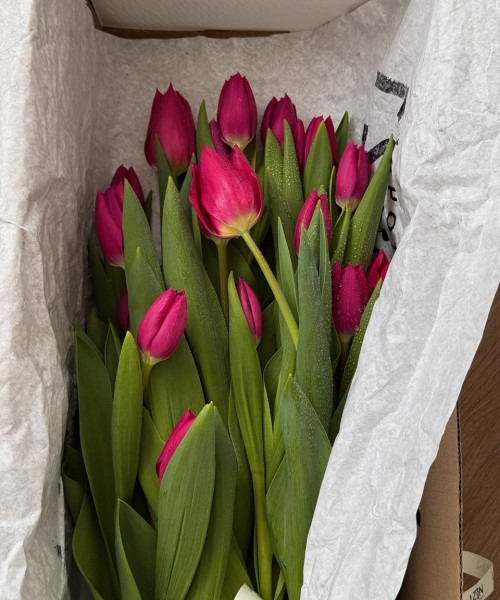 Охапка из 35 тюльпанов #3134 - Цветочный21