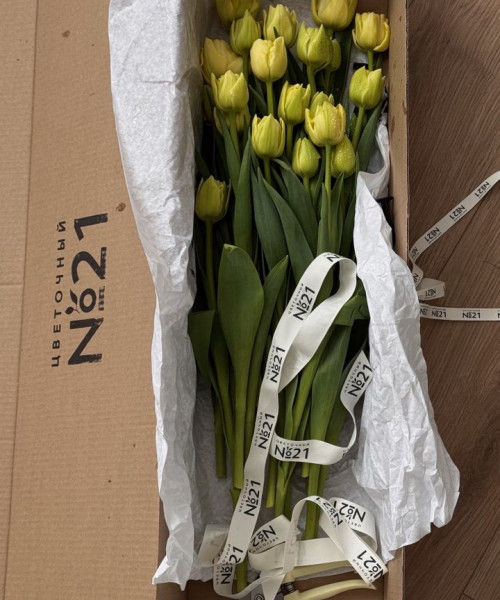 Охапка из 51 пионовидных тюльпанов #3138 - Цветочный21