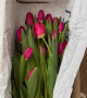 Охапка из 25 тюльпанов #3133