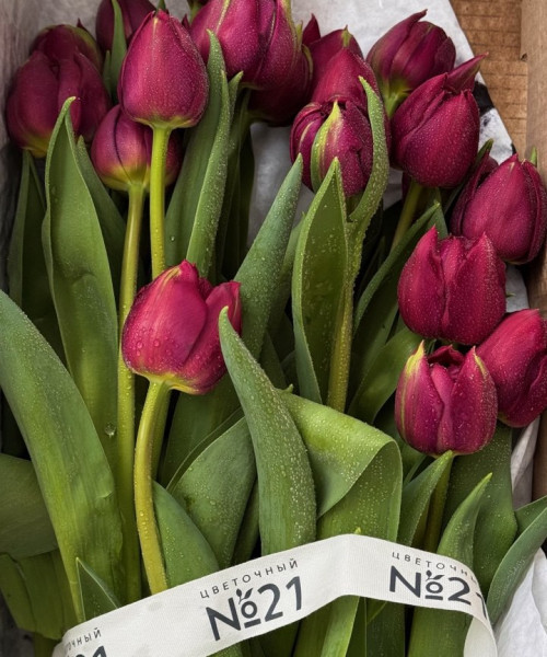 Охапка из 25 тюльпанов #3133 - Цветочный21