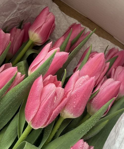 Охапка из 51 тюльпанов #3141 - Цветочный21