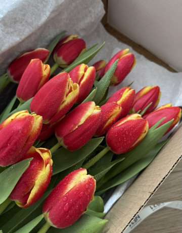 Охапка из 51 тюльпанов #3144