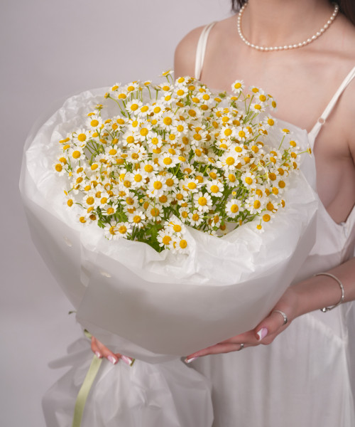 Моно букет из 15 ромашек #3671 - Цветочный21 Моно букет из 15 ромашек #3671 - Цветочный21