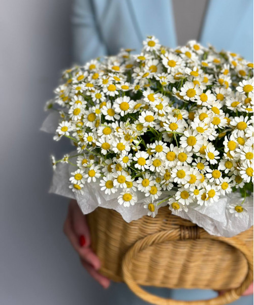 Композиция с ромашкой в корзине #1804 - Цветочный21