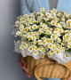 Композиция с ромашкой в корзине #1804