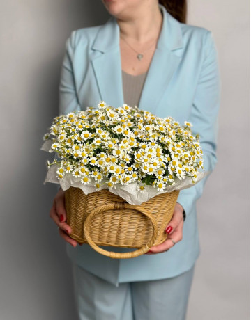 Композиция с ромашкой в корзине #1804