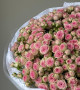 Моно букет из 51 кустовой розы #3680