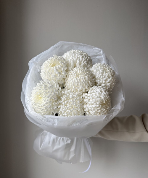 Букет хризантемы белые - 7 цветов #3736 - Цветочный21