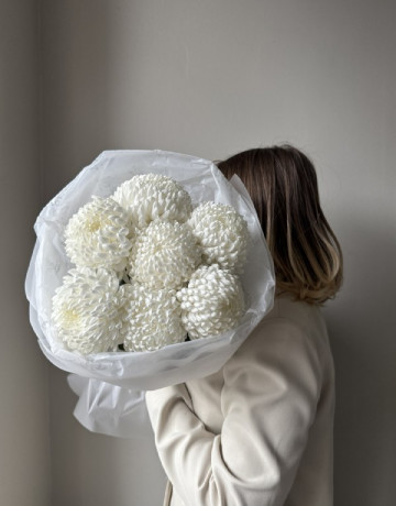 Букет хризантемы белые - 7 цветов #3736