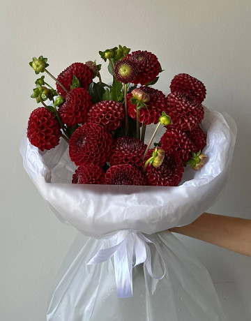 Букет из 15 красных георгин