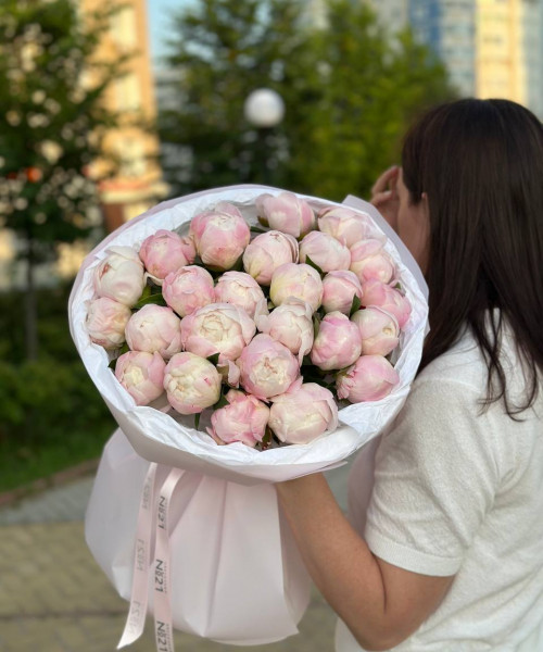 Моно букет пионов - 25 цветов 40 см в круглой упаковке #3667 - Цветочный21 Моно букет пионов - 25 цветов 40 см в круглой упаковке #3667 - Цветочный21