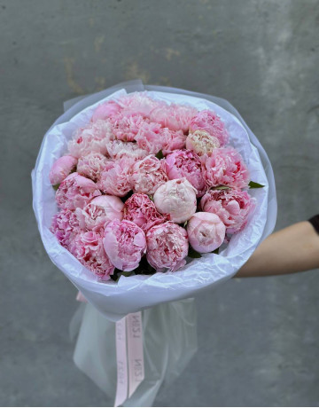 Моно букет пионов - 25 цветов 40 см в круглой упаковке #3667